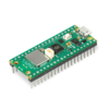 Raspberry Pi Pico W – WiFi Microcontroller Board